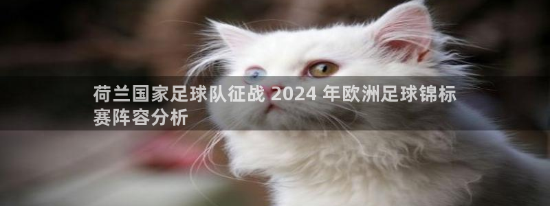 足球赌注平台app：荷兰国家足球队征战 2024 年欧洲足球锦标
赛阵容分析