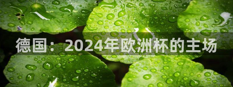 欧洲杯投注官方网站|德国：2024年欧洲杯的主场