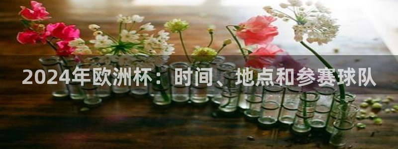 欧洲杯指定投注网站|2024年欧洲杯：时间、地点和参赛球队