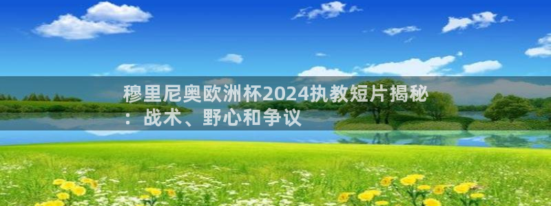 欧洲杯买足球软件