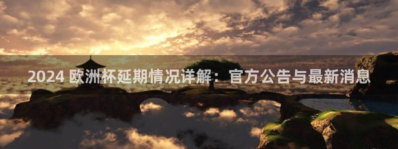 网上哪个平台可以买足球|2024 欧洲杯延期情况详解：官方公告与最新消息