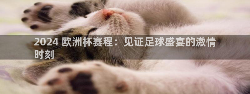 买球平台官方网站|2024 欧洲杯赛程：见证足球盛宴的激情
时刻