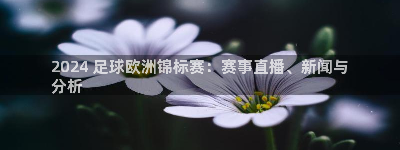 欧洲杯最新赛程|2024 足球欧洲锦标赛：赛事直播、新闻与
分析