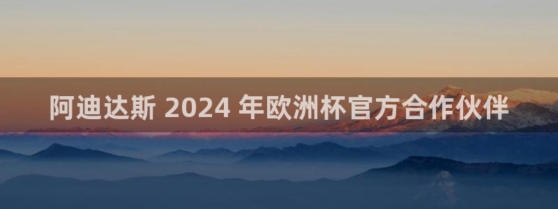 欧洲杯可以买冠亚军吗|阿迪达斯 2024 年欧洲杯官方合作伙伴