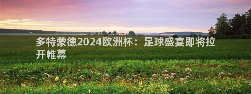 欧洲杯彩票哪里买|多特蒙德2024欧洲杯：足球盛宴即将拉
开帷幕
