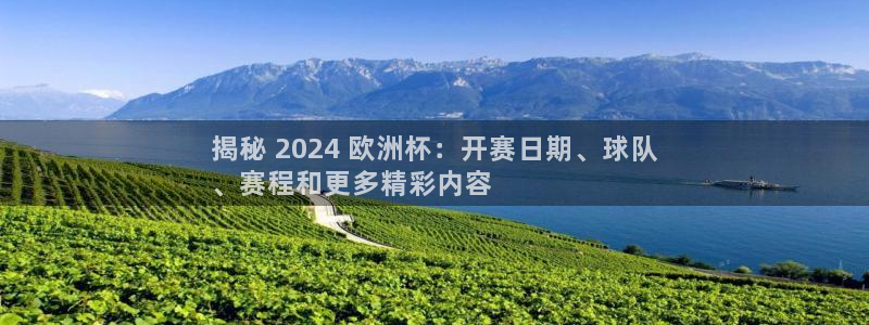 欧洲杯买注在哪买|揭秘 2024 欧洲杯：开赛日期、球队
、赛程和更多精彩内容