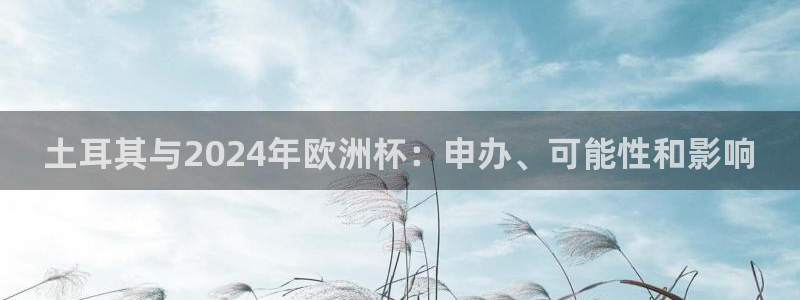 欧洲杯买足球软件有哪些|土耳其与2024年欧洲杯：申办、可能性和影响