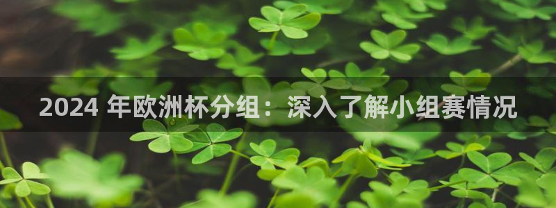 2024欧洲杯全部赛程|2024 年欧洲杯分组：深入了解小组赛情况