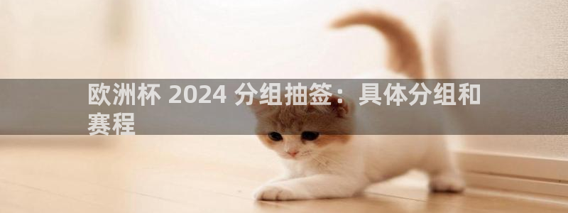 欧洲杯直播平台|欧洲杯 2024 分组抽签：具体分组和
赛程