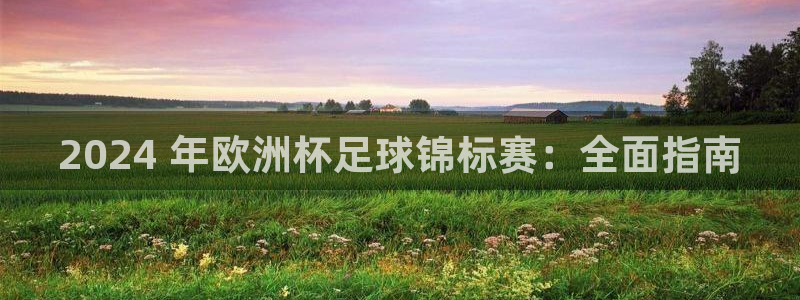 欧洲杯可以买冠亚军吗