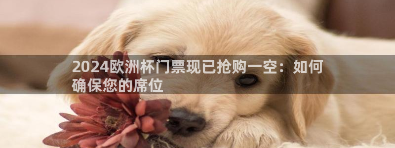 欧洲杯指定投注网站|2024欧洲杯门票现已抢购一空：如何
确保您的席位