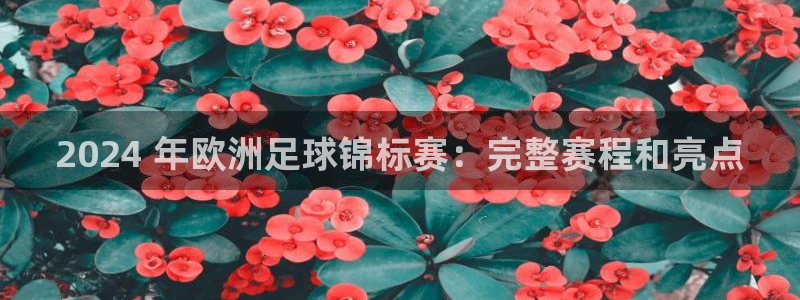 欧洲杯押注|2024 年欧洲足球锦标赛：完整赛程和亮点