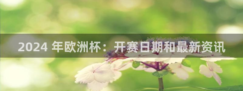 欧洲杯彩票哪里买|2024 年欧洲杯：开赛日期和最新资讯