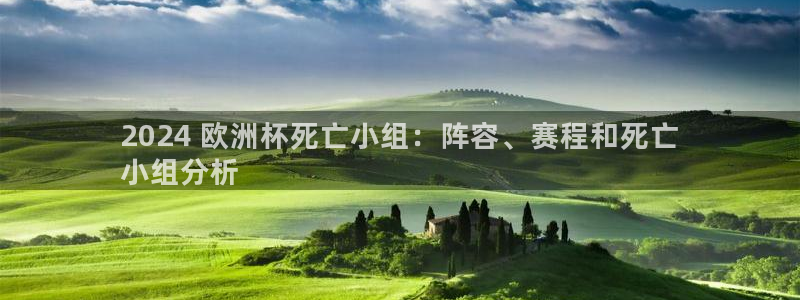 欧洲杯下单平台官网网址|2024 欧洲杯死亡小组：阵容、赛程和死亡
小组分析