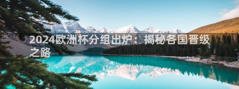 欧洲杯买足球软件|2024欧洲杯分组出炉：揭秘各国晋级
之路
