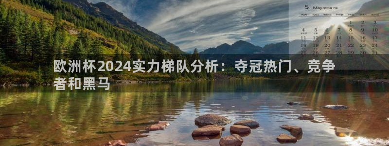 欧洲杯竞猜软件|欧洲杯2024实力梯队分析：夺冠热门、竞争
者和黑马