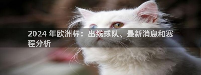 欧洲杯kaiyun|2024 年欧洲杯：出线球队、最新消息和赛
程分析