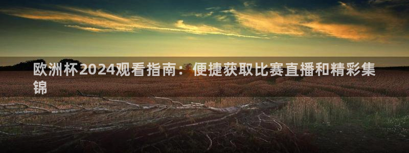 欧洲杯买球网|欧洲杯2024观看指南：便捷获取比赛直播和精彩集
锦