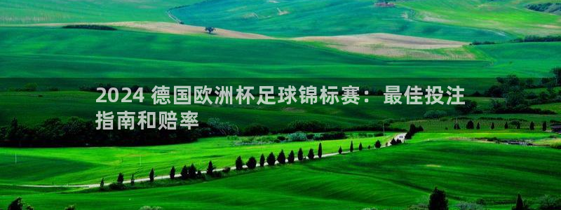 十大靠谱外围买球网站
