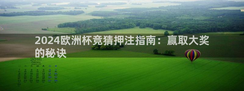 欧洲杯押注入口|2024欧洲杯竞猜押注指南：赢取大奖
的秘诀