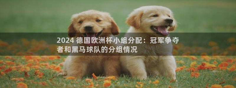 2024欧洲杯买球手机版|2024 德国欧洲杯小组分配：冠军争夺
者和黑马球队的分组情况