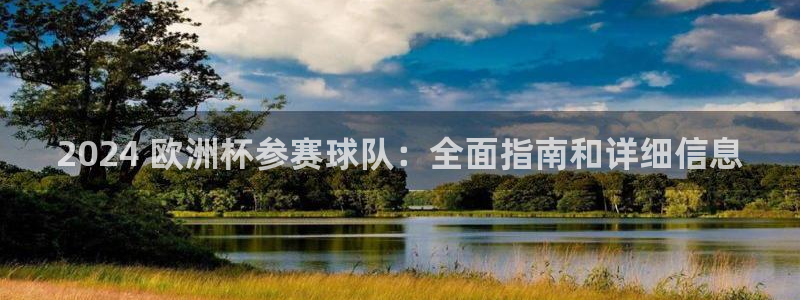 欧洲杯官网|2024 欧洲杯参赛球队：全面指南和详细信息