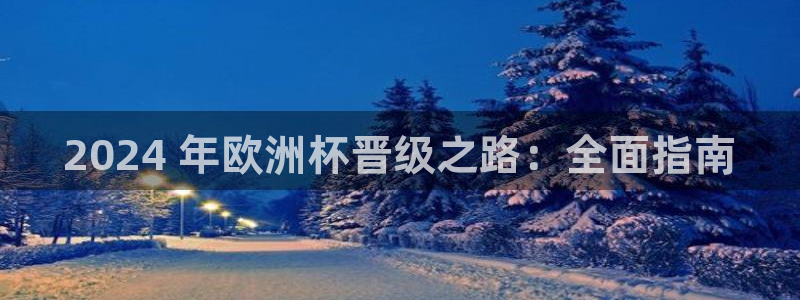 欧洲杯竞猜网站|2024 年欧洲杯晋级之路：全面指南