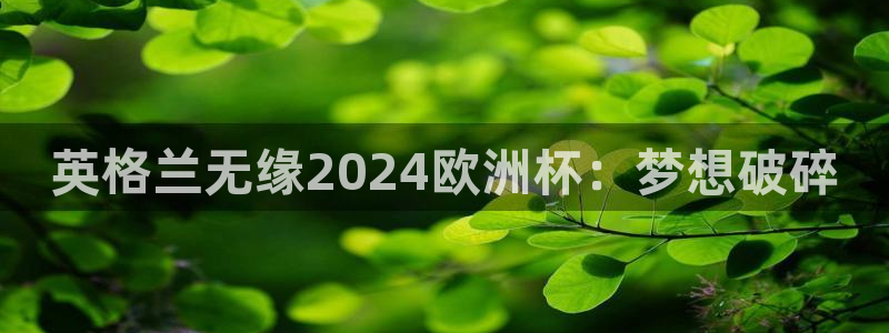 欧洲杯买足球软件有哪些|英格兰无缘2024欧洲杯：梦想破碎