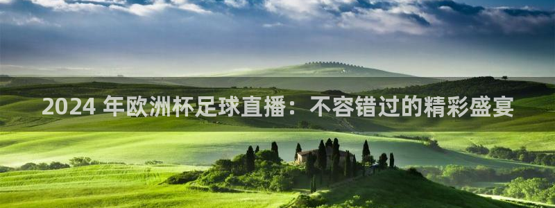 欧洲杯最新赛程|2024 年欧洲杯足球直播：不容错过的精彩盛宴