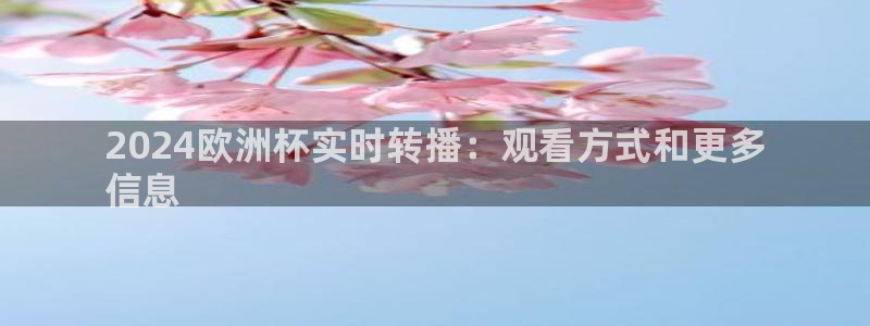 2024欧洲杯买球手机版