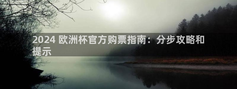 welcome欧洲杯开户|2024 欧洲杯官方购票指南：分步攻略和
提示