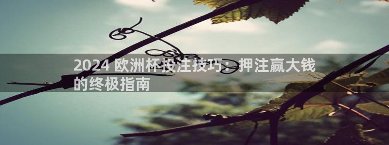 买球平台官方网站|2024 欧洲杯投注技巧：押注赢大钱
的终极指南