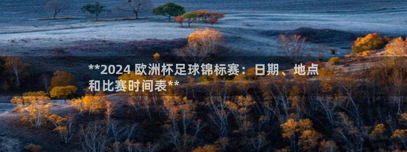 欧洲杯指定投注网站|**2024 欧洲杯足球锦标赛：日期、地点
和比赛时间表**