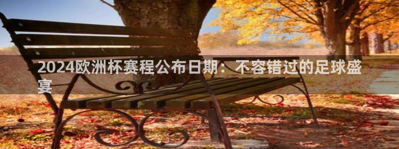 欧洲杯投注在哪找网址|2024欧洲杯赛程公布日期：不容错过的足球盛
宴
