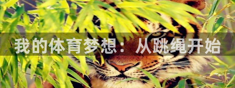 ug环球官网注册：我的体育梦想：从跳绳开始