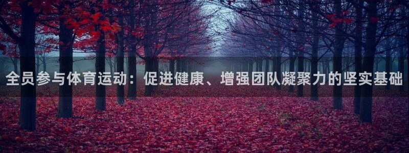菲律宾ug环球官网：全员参与体育运动：促进健康、增强团队凝聚力的坚实基础