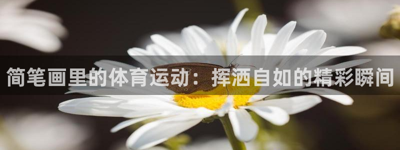 ug环球官网：简笔画里的体育运动：挥洒自如的精彩瞬间