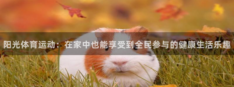 ug环球官网：阳光体育运动：在家中也能享受到全民参与的健康生活乐趣
