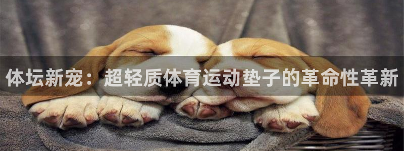 ug环球官网登录入口：体坛新宠：超轻质体育运动垫子的革命性革新