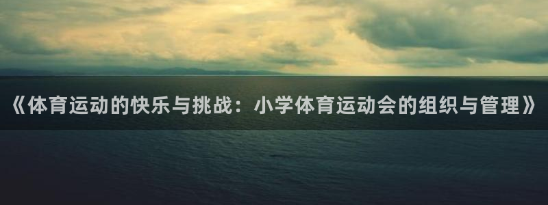 ug环球官网登录入口：《体育运动的快乐与挑战：小学体育运动会的组织与管理》