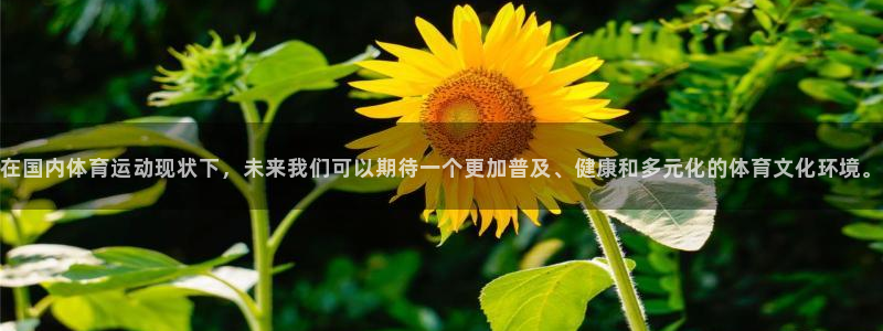 ug环球官网：在国内体育运动现状下，未来我们可以期待一个更加普及、健康和多元化的体育文化环境。