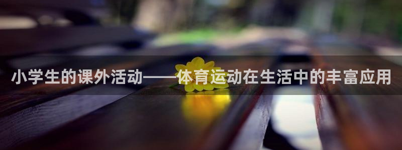 ug环球官网登录入口：小学生的课外活动——体育运动在生活中的丰富应用