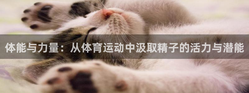 ug环球官网登录入口：体能与力量：从体育运动中汲取精子的活力与潜能